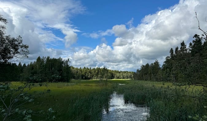 The view overlooking northern sweden on a bright and sunny summer day
